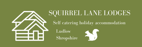 Squirrel Lane Lodges